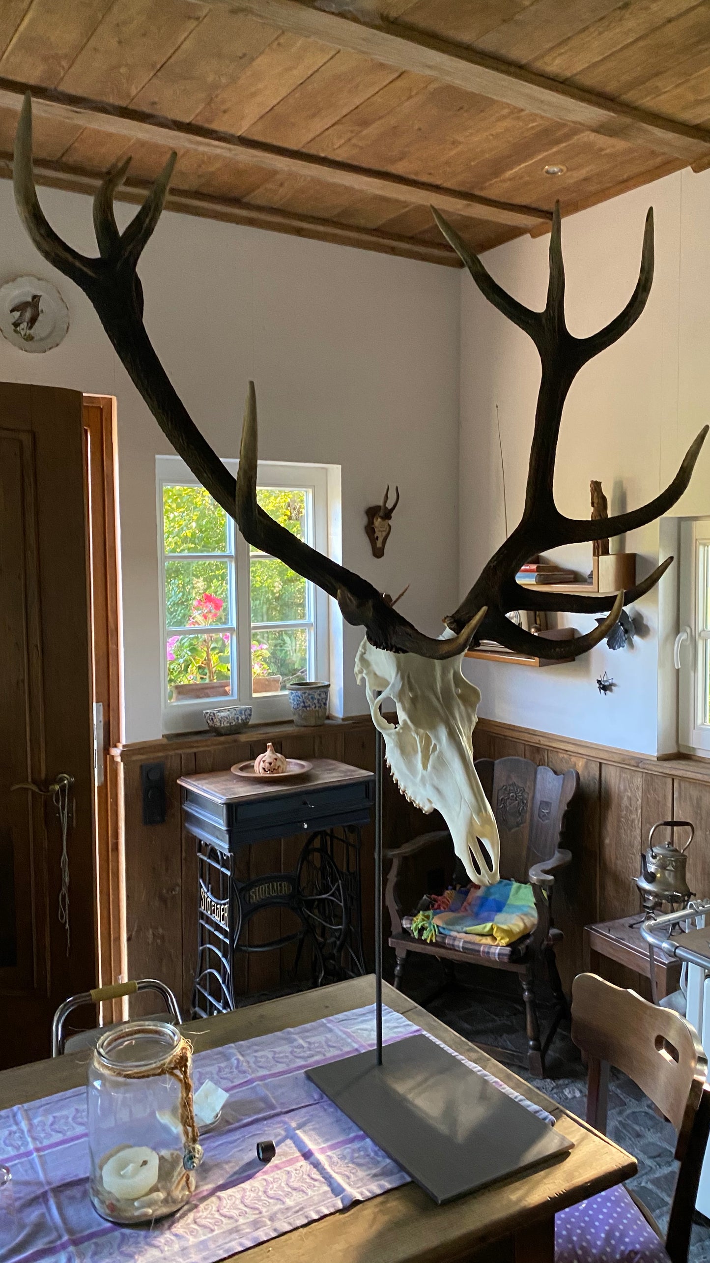 Trophäenständer Rotwild Stahl