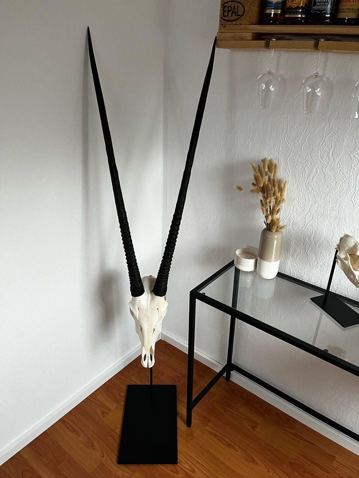 Trophäenständer Rotwild Stahl